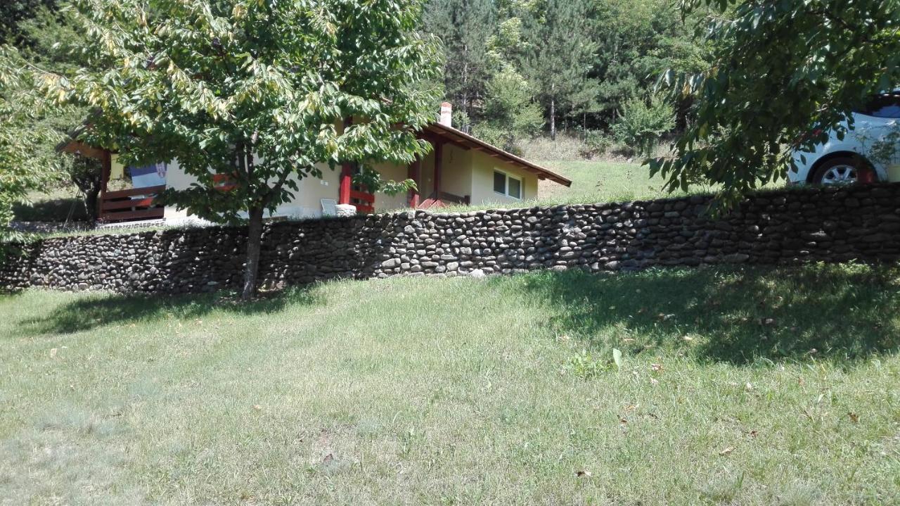 Vikend Kuca Maksimovic Villa Mataruska Banja Exterior photo
