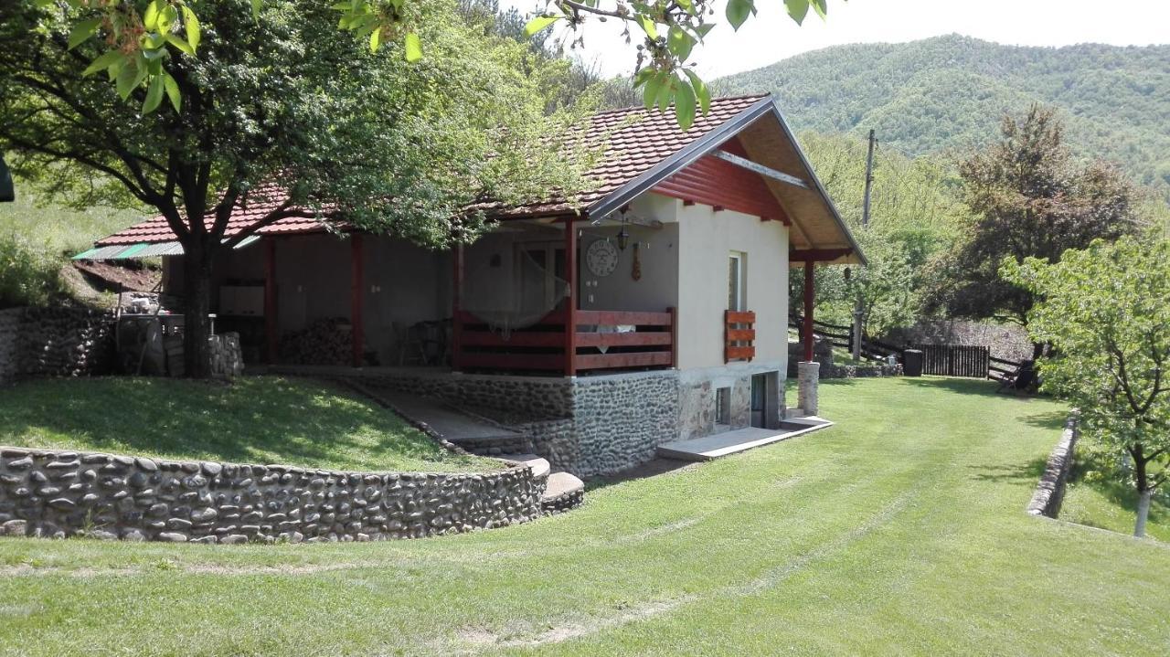 Vikend Kuca Maksimovic Villa Mataruska Banja Exterior photo