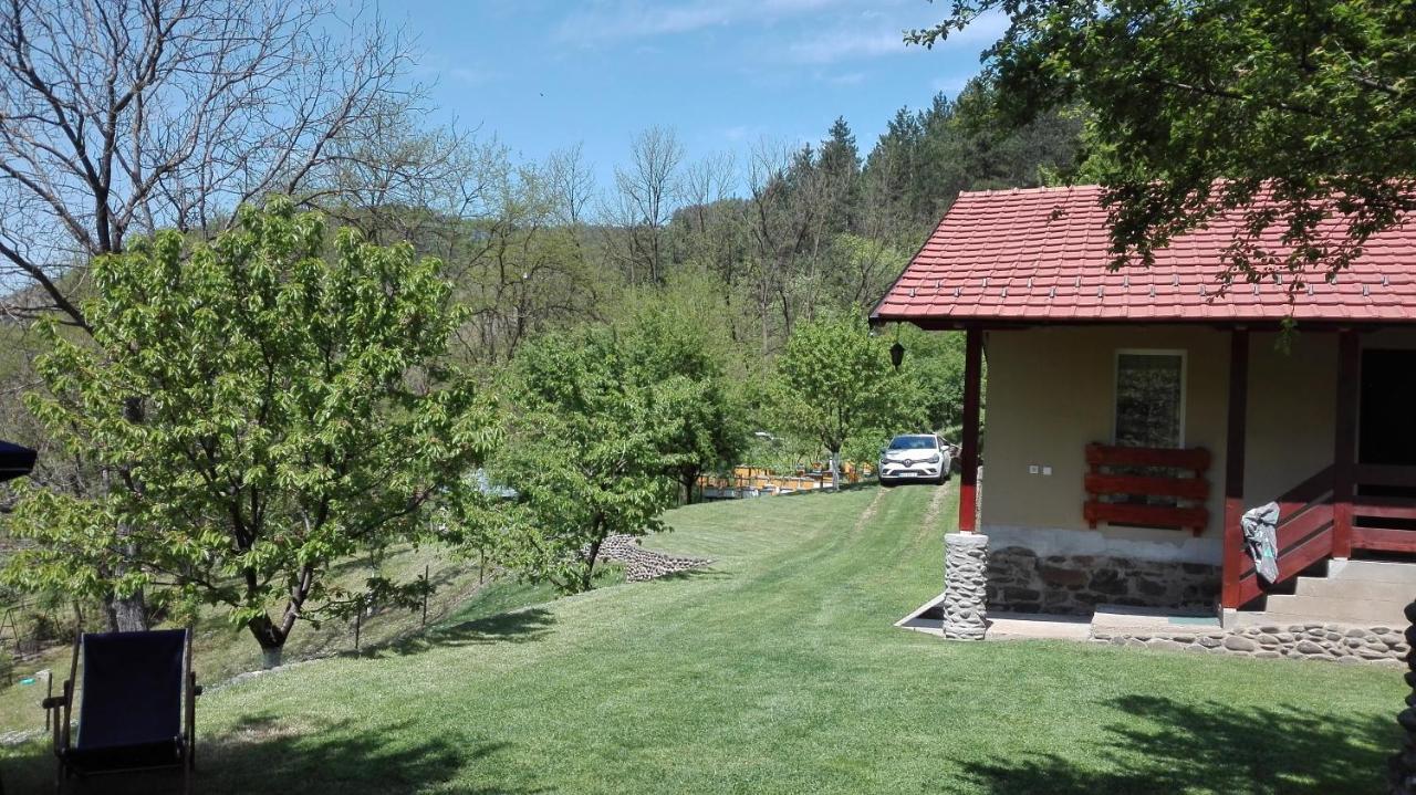 Vikend Kuca Maksimovic Villa Mataruska Banja Exterior photo