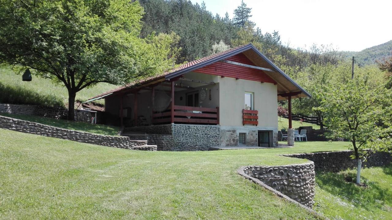 Vikend Kuca Maksimovic Villa Mataruska Banja Exterior photo