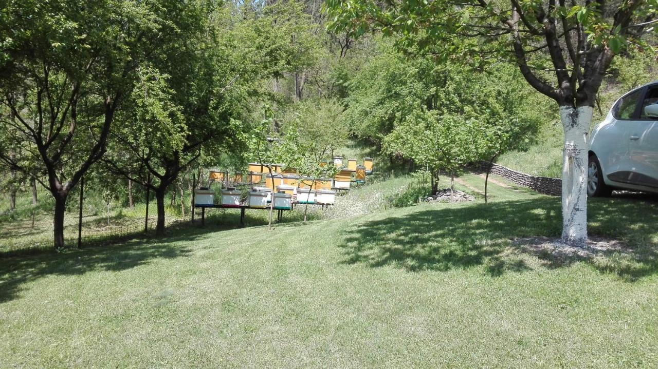 Vikend Kuca Maksimovic Villa Mataruska Banja Exterior photo