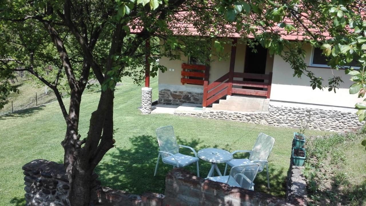 Vikend Kuca Maksimovic Villa Mataruska Banja Exterior photo