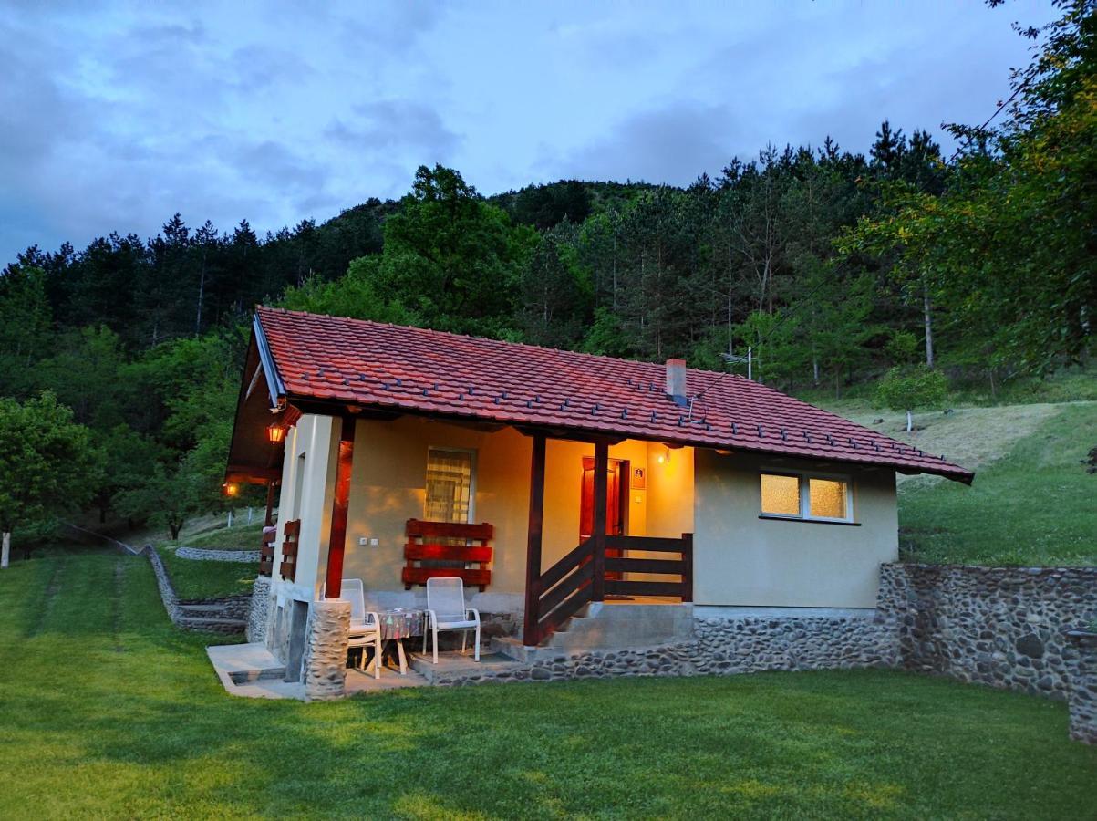 Vikend Kuca Maksimovic Villa Mataruska Banja Exterior photo