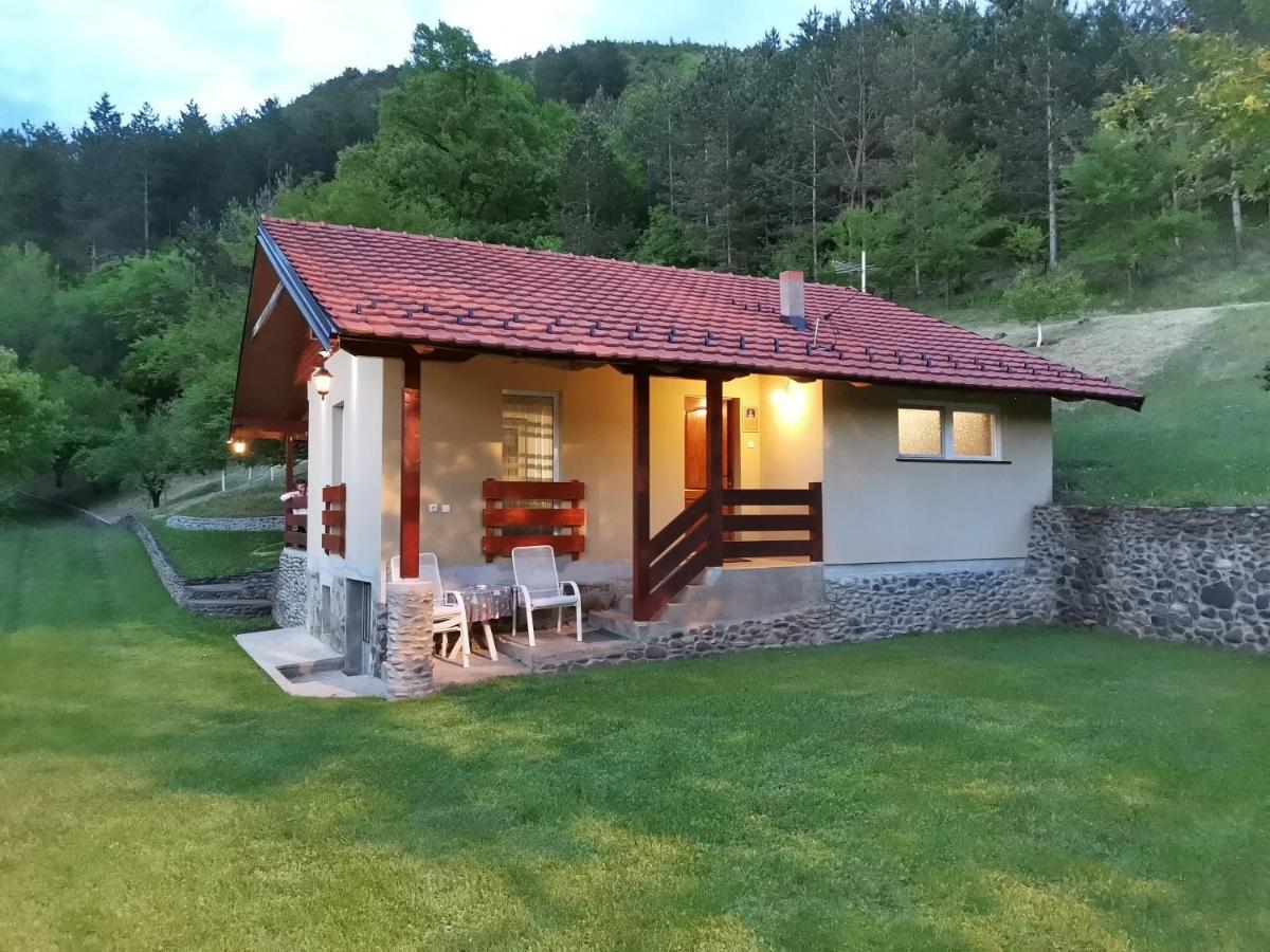 Vikend Kuca Maksimovic Villa Mataruska Banja Exterior photo